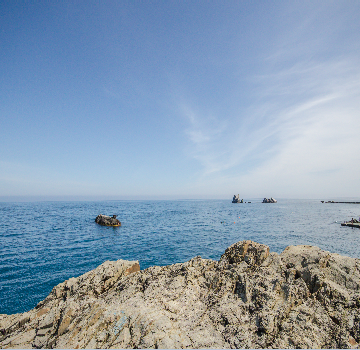 Кухня в корпусе , Мечта