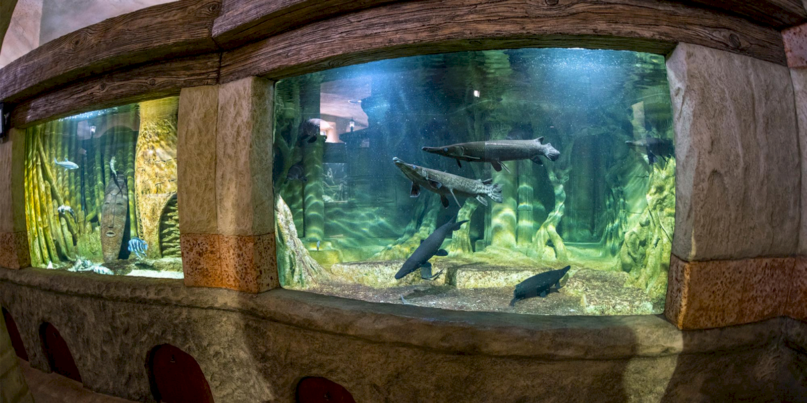 Севастопольский аквариум